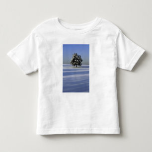 Träd i täckt snö landskap tee