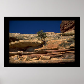 Träd i väggen poster