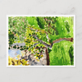 Träd i vårtidskort vykort