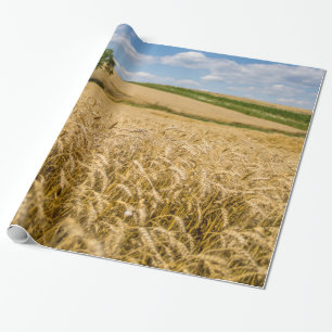 Träd i vetefält landskap presentpapper