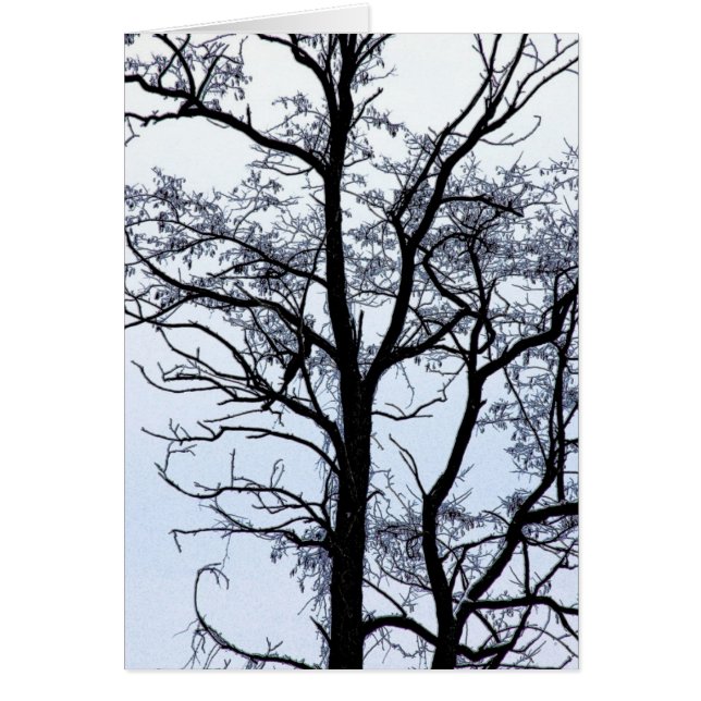 Träd i vinter hälsningskort (Framsidan)