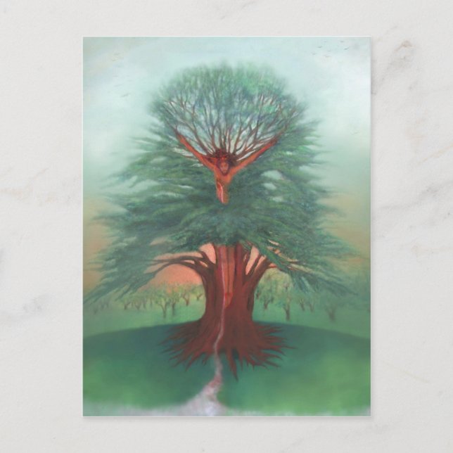 TRÄD i Vykort (Framsida)