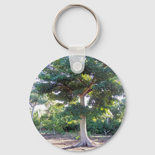 Träd i Wisdom-keychain Nyckelring (Framsida)