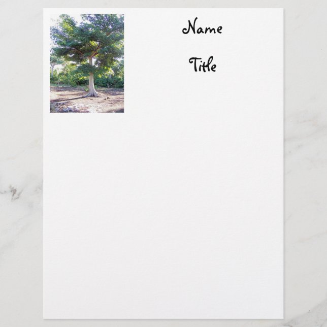 Träd i Wisdom-letterhead Brevhuvud (Framsida)