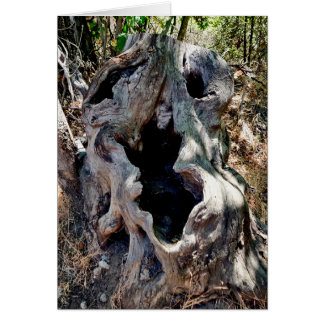 Träd-instumpskal Hälsningskort