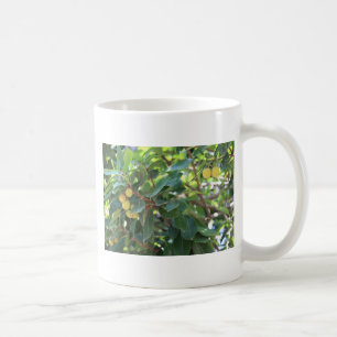 Träd italien kaffemugg
