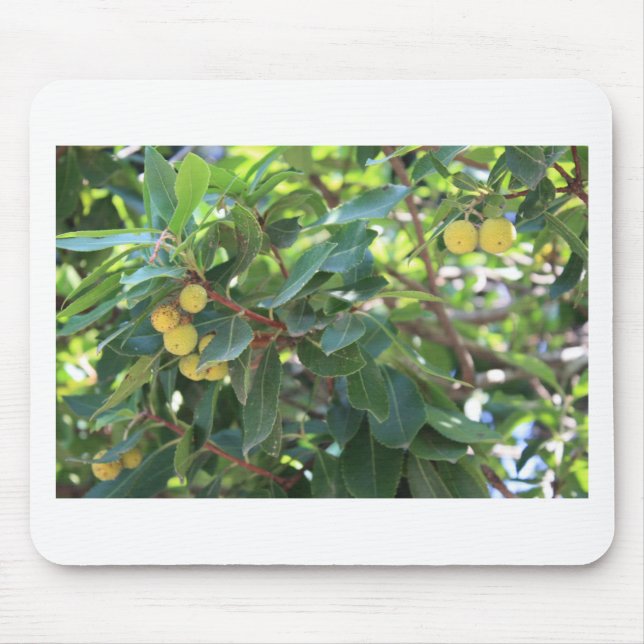 Träd italien musmatta (Framsidan)