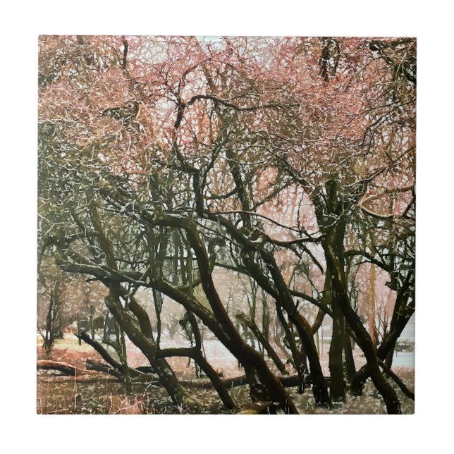 TRÄD KAKELPLATTA (Framsidan)