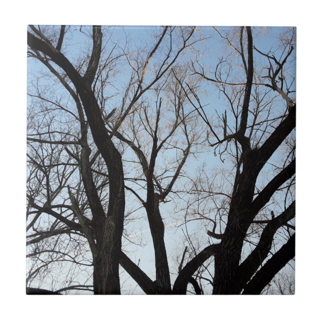 Träd Kakelplatta (Framsidan)