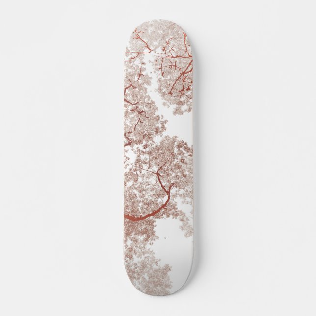 TRÄD KARTA 2 MINI SKATEBOARD BRÄDA 18,5 CM (Framsida)