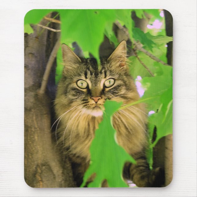 Träd Katt Musmatta (Framsidan)