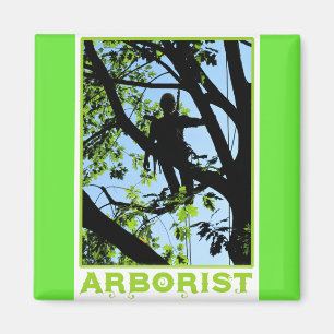 Träd Kliber Silhouette: Arborist Magnet