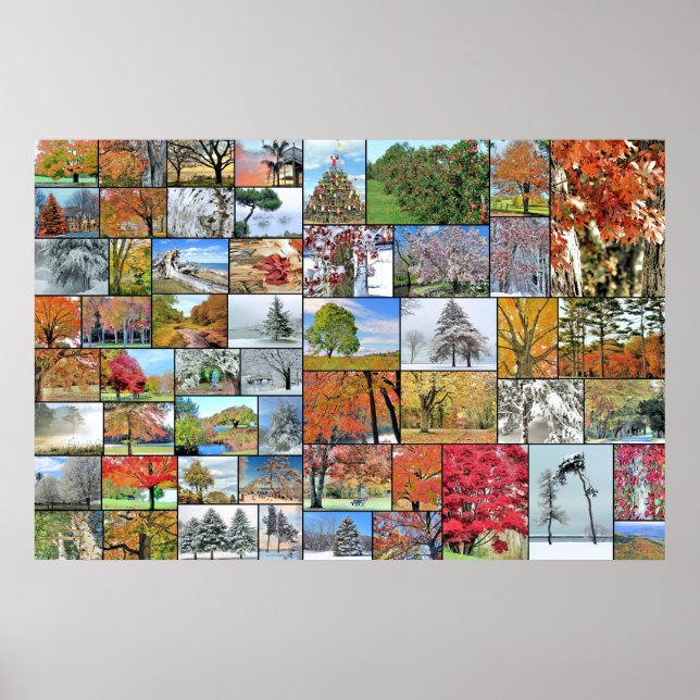 Träd kollage poster 36 x 24 (Framsidan)