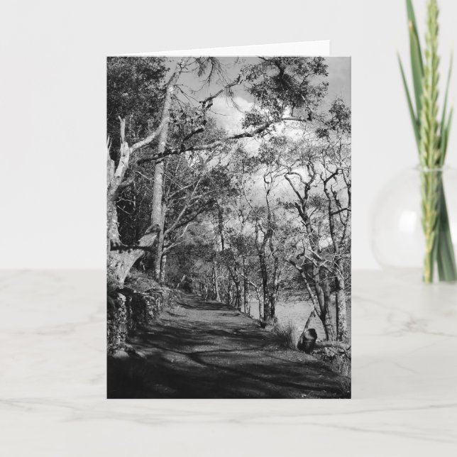 TRÄD KORT (Framsida)