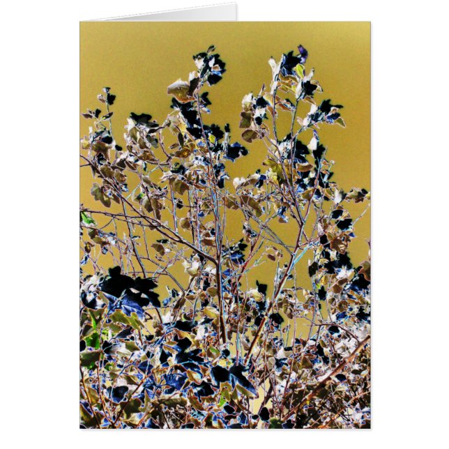 TRÄD-kort Hälsningskort (Framsidan)