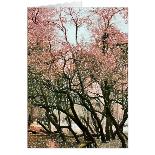 TRÄD-KORT HÄLSNINGSKORT (Framsidan)