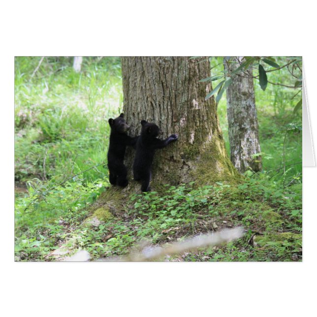 Träd kramare hälsningskort (Framsidan Horizontal)