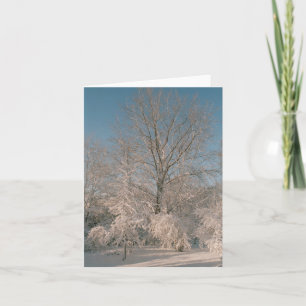 Träd laden med snö Notecards Kort