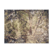 Träd Lagrar Digital Art