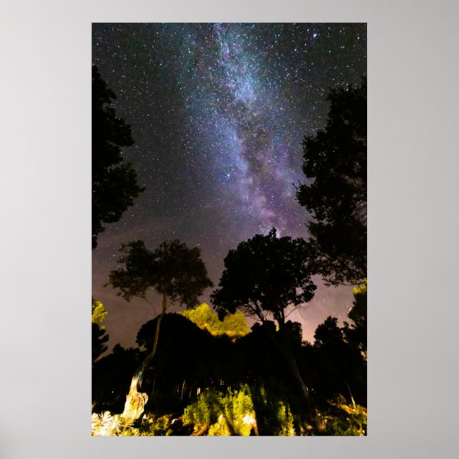 Träd landskap med vintergatan poster (Framsidan)