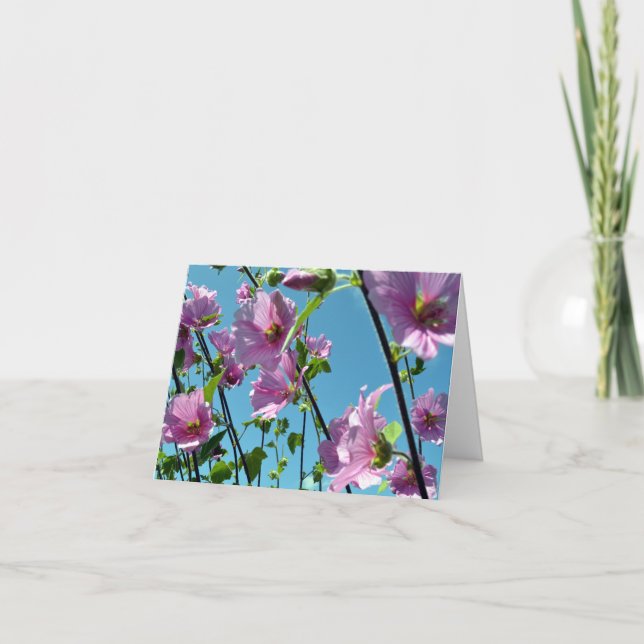 Träd (Lavatera arborea) Kort (Framsida)