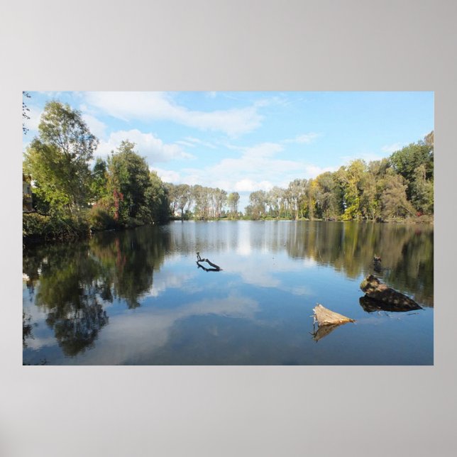 Träd Led Sjö Poster (Framsidan)