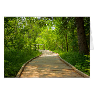 Träd-Led Väg OBS Kort