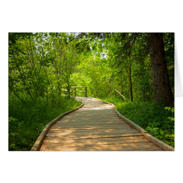 Träd-Led Väg OBS Kort (Framsidan Horizontal)