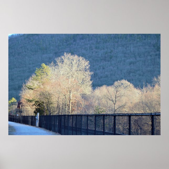 Träd Lehigh Gorge State Park Poster (Framsidan)