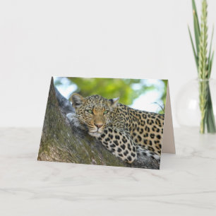 träd leopardkort kort
