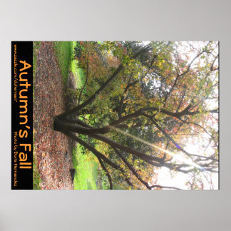 Träd Light Ray-höstens fall Poster