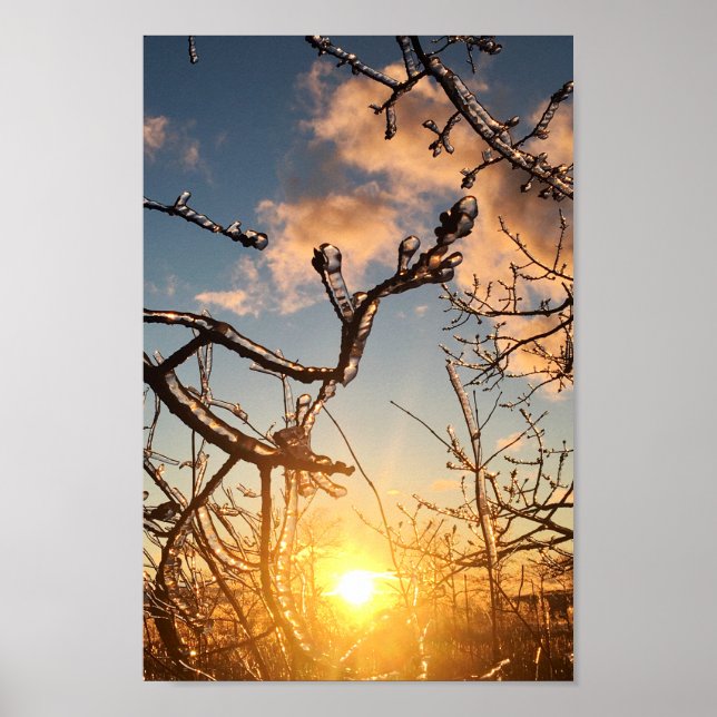 träd lilja poster (Framsidan)