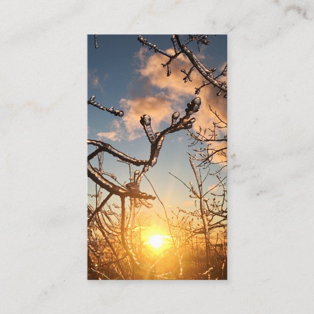 träd lilja visitkort (Framsida)