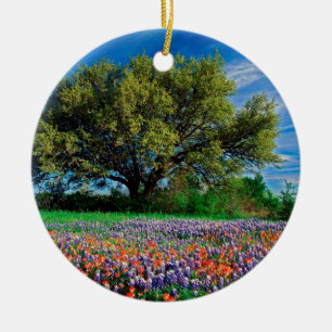 Träd Live Oak i Texas Bluebonnet Julgransprydnad Keramik