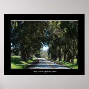 "Träd-LUND Land Road" Poster