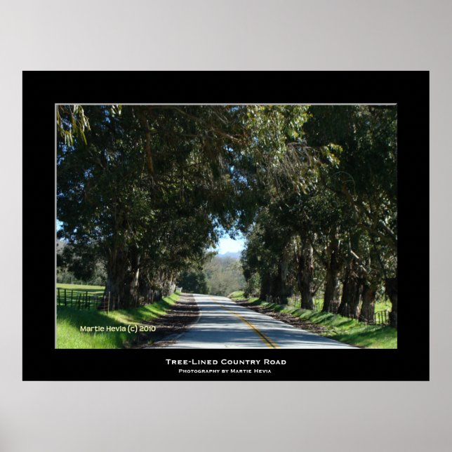 "Träd-LUND Land Road" Poster (Framsidan)