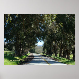 Träd-LUND Land Road Poster