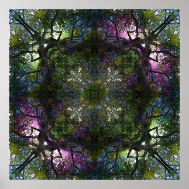 Träd Magic Poster 20 x 20 tum (Framsidan)