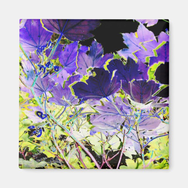 TRÄD MAGNET (Framsidan)