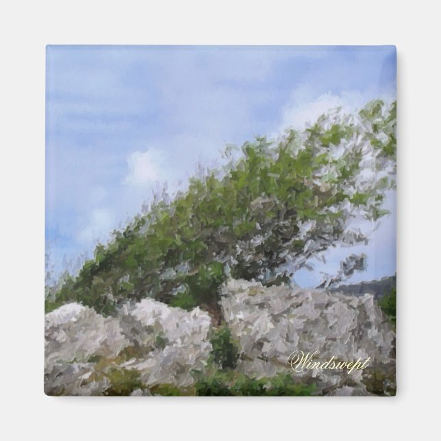 TRÄD MAGNET (Framsidan)