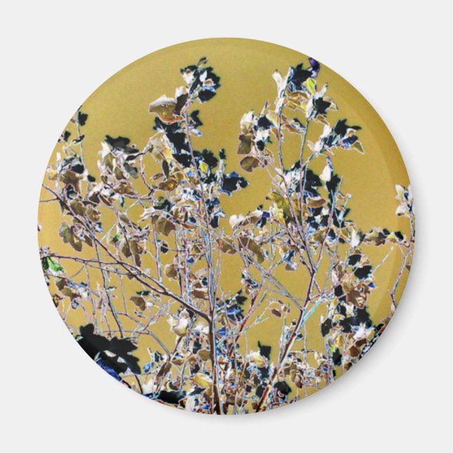 TRÄD MAGNET (Framsidan)