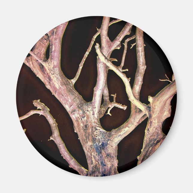TRÄD MAGNET (Framsidan)
