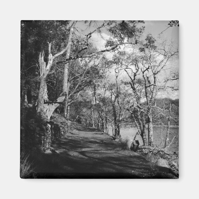 TRÄD MAGNET (Framsidan)