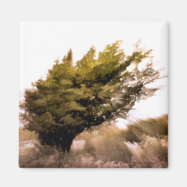 TRÄD MAGNET (Framsidan)