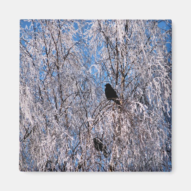 TRÄD MAGNET (Framsidan)