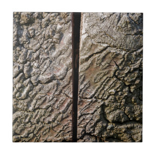 Träd med mittsnitt kakelplatta