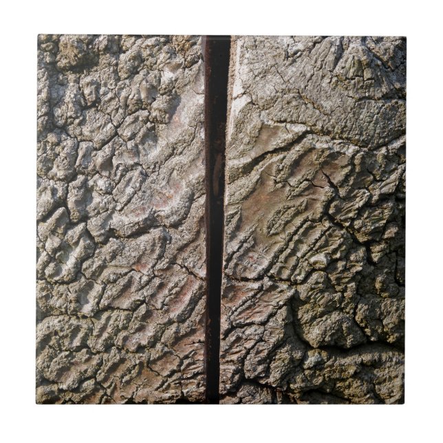 Träd med mittsnitt kakelplatta (Framsidan)