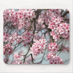 Träd med rosa körsbärsblommor musmatta