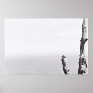 Träd Minimalistisk Monokrom Kodak Filmplakat Poster