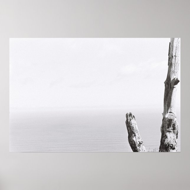 Träd Minimalistisk Monokrom Kodak Filmplakat Poster (Framsidan)